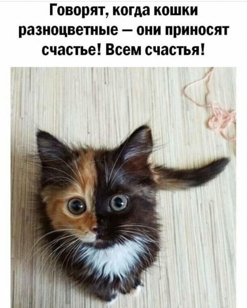 xaritonov motivation 20200821 36