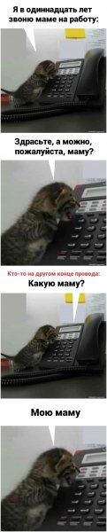 Image (1)