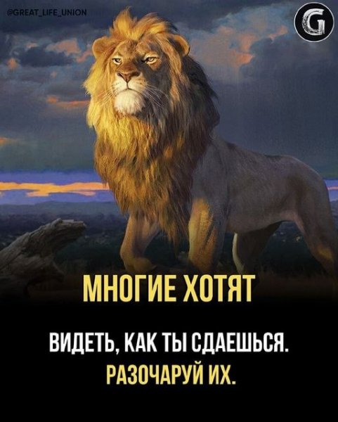 IMG 20221105 180756 644