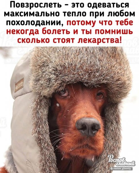 Похолодало