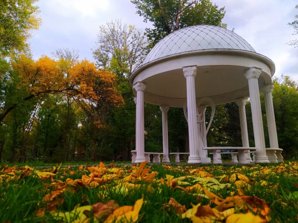 IMG 20220926 124324-01