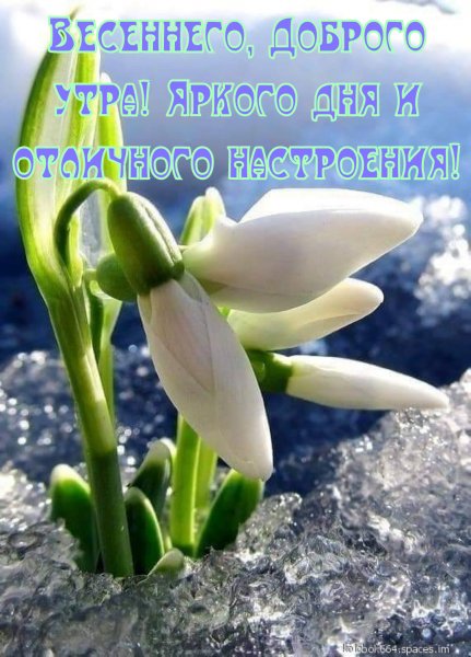 Весеннего Доброго утра!