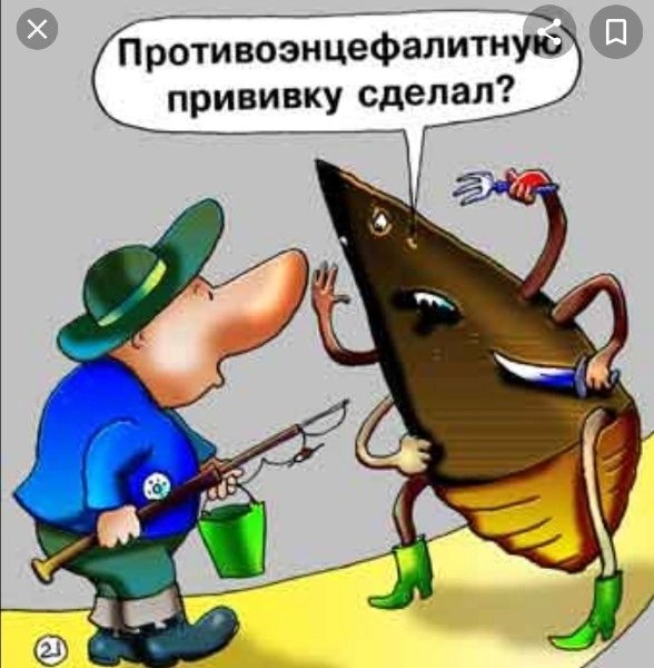 Летняя рыбалка