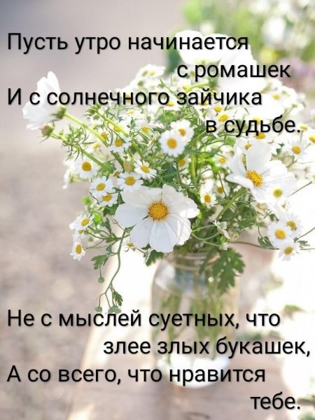 fd1294b53c844dba6dd5ab57cb97