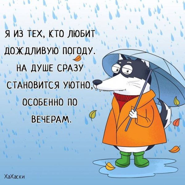 Люблю дождь