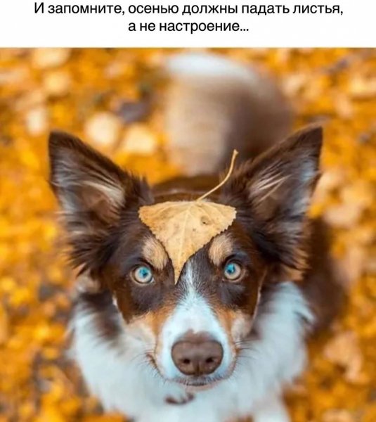 marinaalekminskaya 20201011 6