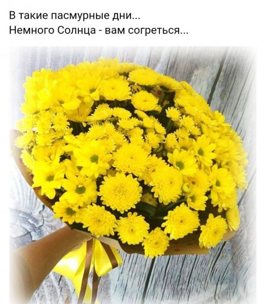 tatiana.4834 20201122 12