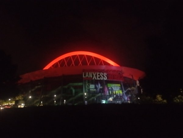 Спустя несколько дней меня съело любопытство