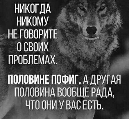 image (2) - 2021-03-28T005739.912