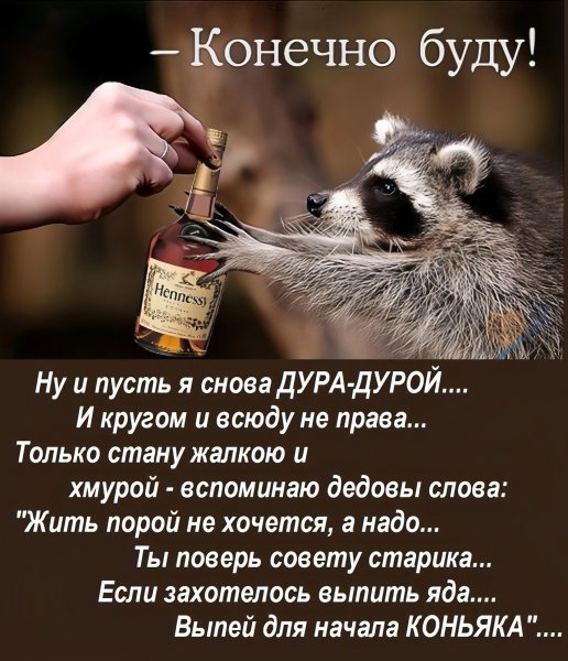 По коньячку