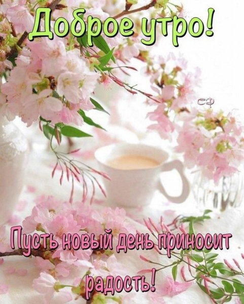 12c09a79753c811b211c938e0a2648bf