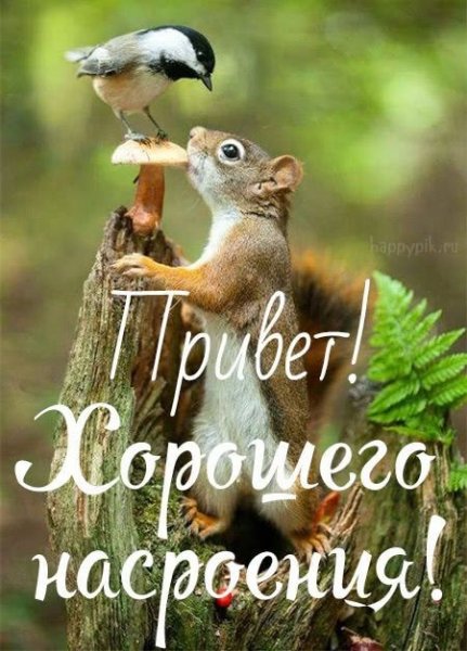 a81e050cfcc84226baed0b5d4543a5df