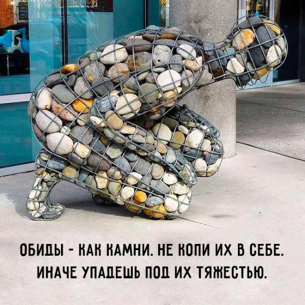 FB IMG 1620084539894