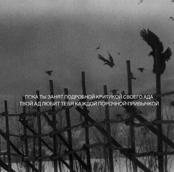 IMG 20240110 005931 816