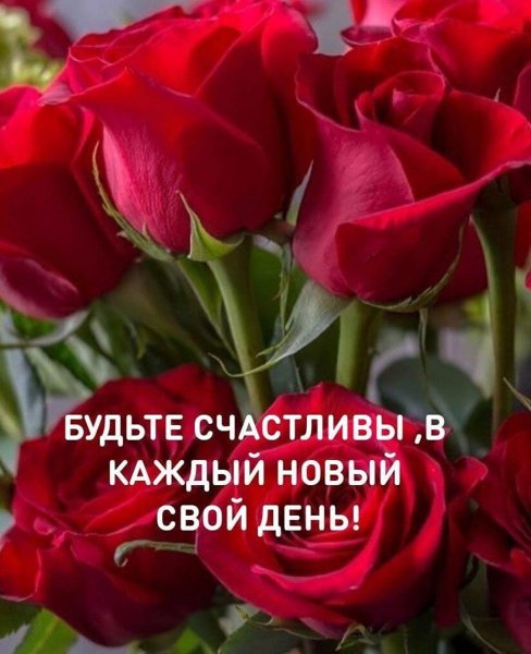 marinaalekminskaya 20200723 13