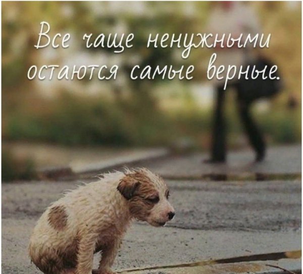 Будьте Добрее Люди!