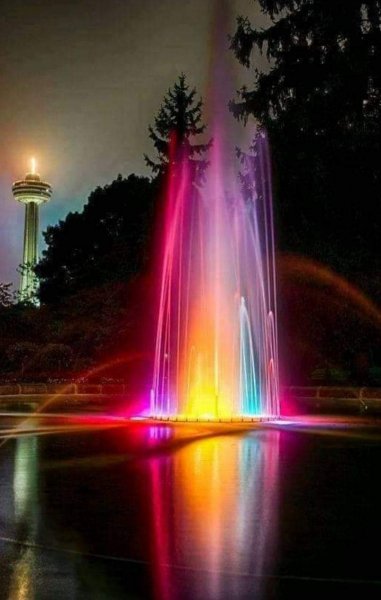 FB IMG 1611108704400