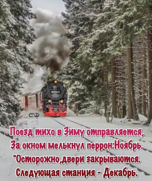 IMG 20201129 082055 699