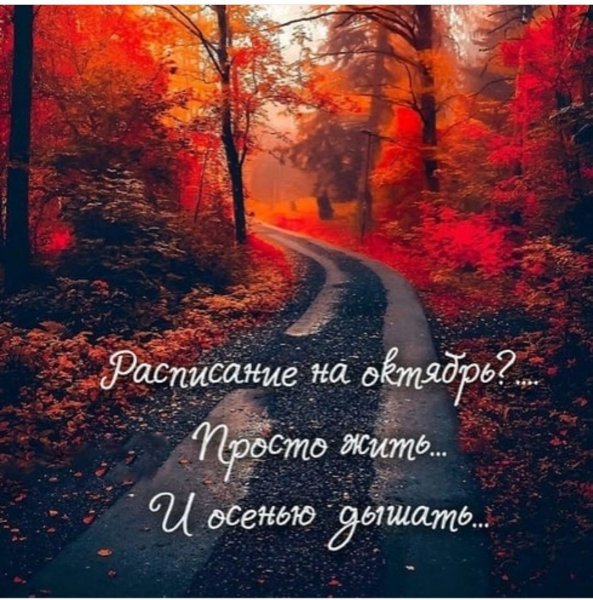 marinaalekminskaya 20201014 10