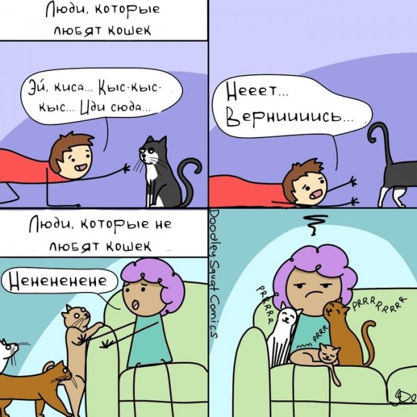 IMG 20221222 061253 989