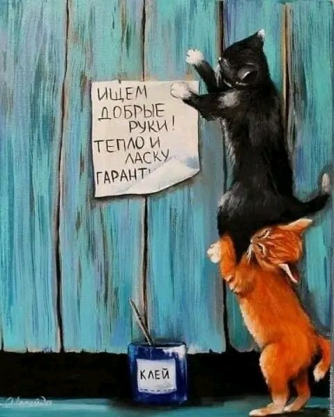 FB IMG 16657550858488680