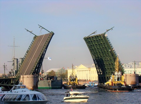 2645205511.jpg