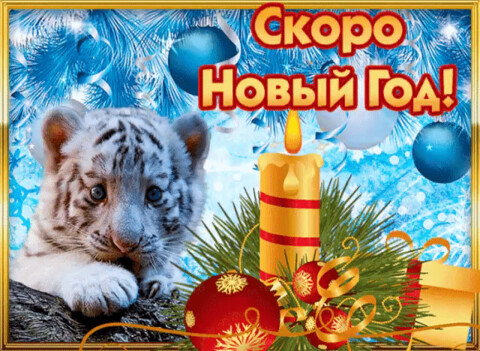 Скоро новый год.gif