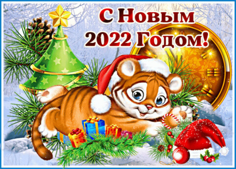 IMG 20211205 201735.gif