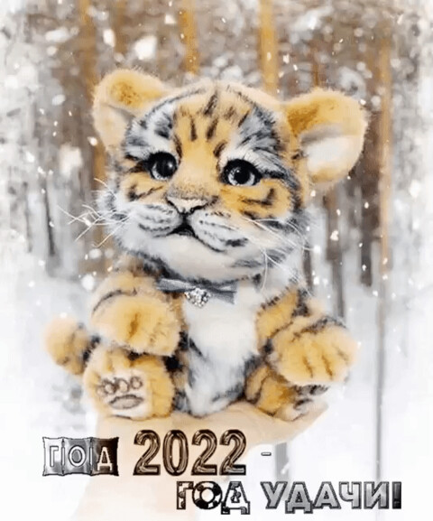 Год 2022.gif