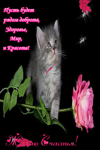 1433417.gif