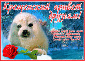 otkrytka-kreshchenskiy-privet-druzyam-62554.gif