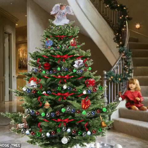 IMG 20191226 041732.gif