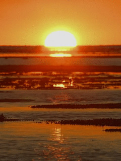 1402245133740728290505614.gif