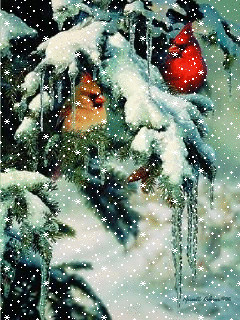 1440108.gif
