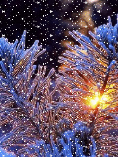 1351215.gif