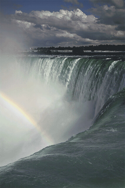 3ab402b09105d4cd8c012a801437730a.gif