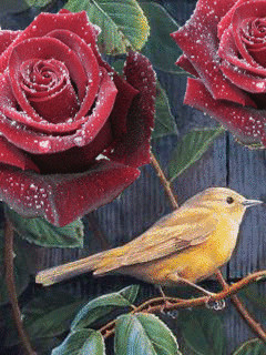 1340861.gif