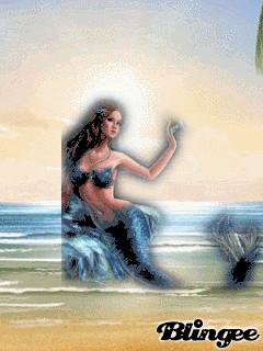 1372323.gif