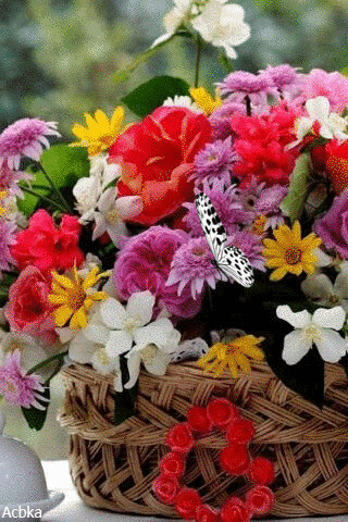 1504290.gif