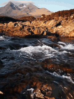 nature.gif