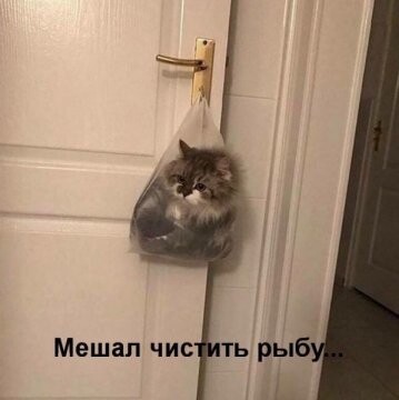318914318 p 0 360 0.jpg