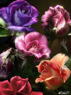 39222 001006.gif