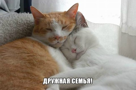 Zюl8Wzh4b22qQ.jpg