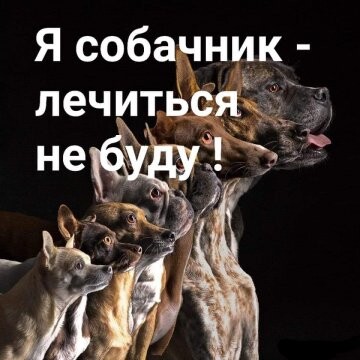311913714 p 0 360 0.jpg