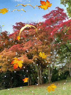1400784.gif