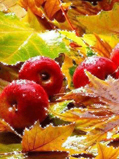 1400720.gif
