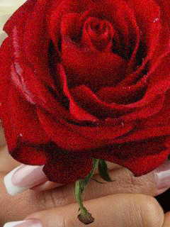 1380481.gif