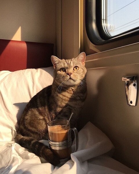 1615991921302 image.jpg
