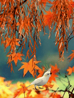 1396533.gif