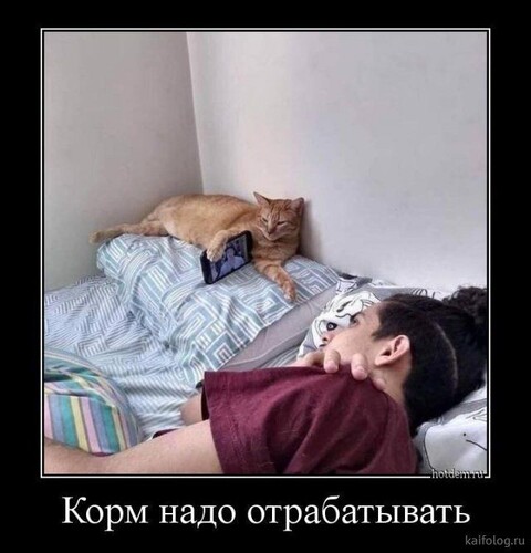1604337365257 image.jpg